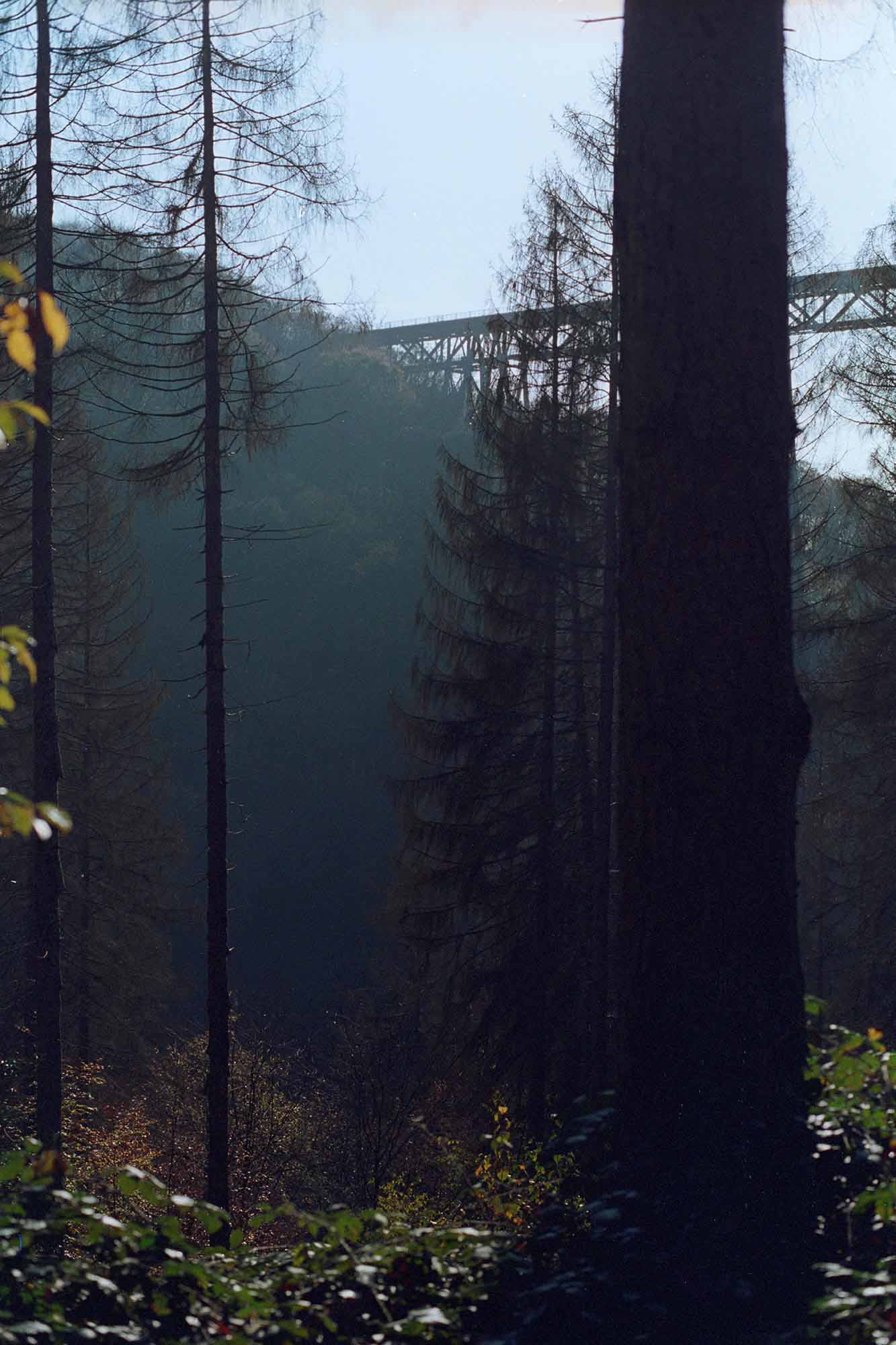 Müngstener Brücke im Wald